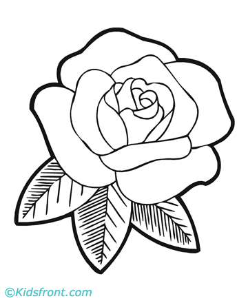 947 views Rose Flower Coloring Pages Printable | Patterns from Print