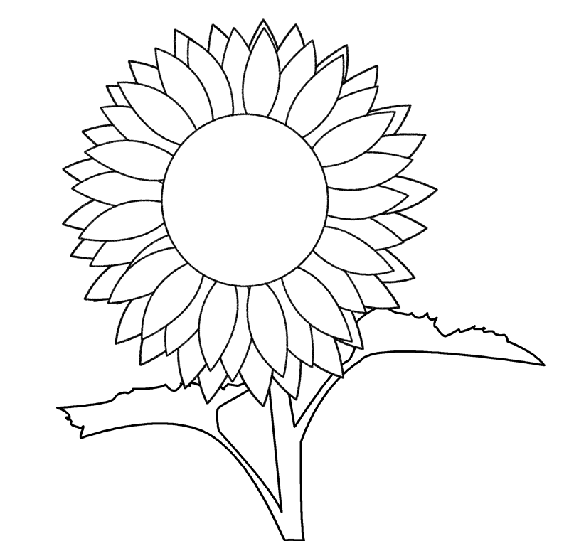 Sunflower Printable Template ClipArt Best.