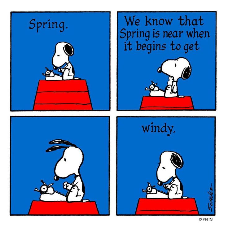 1000+ images about SNOOPY | Peanuts snoopy, The ...