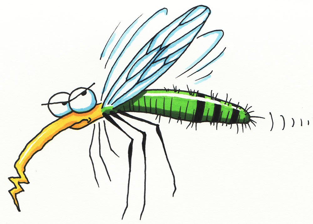 Clipart mosquito cartoon