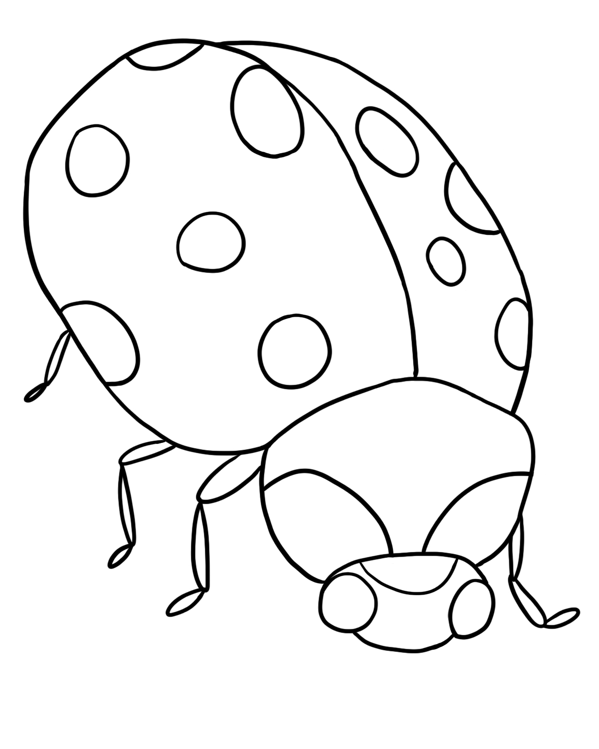 Ladybug Drawings