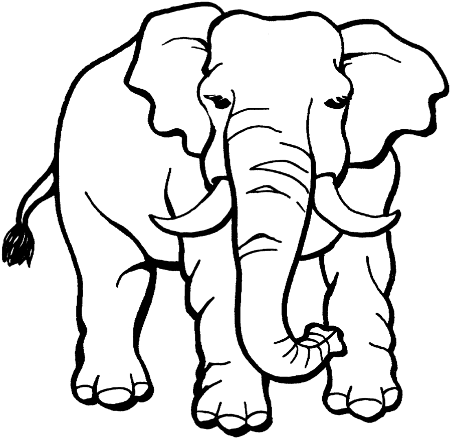 Indian Elephant Clipart