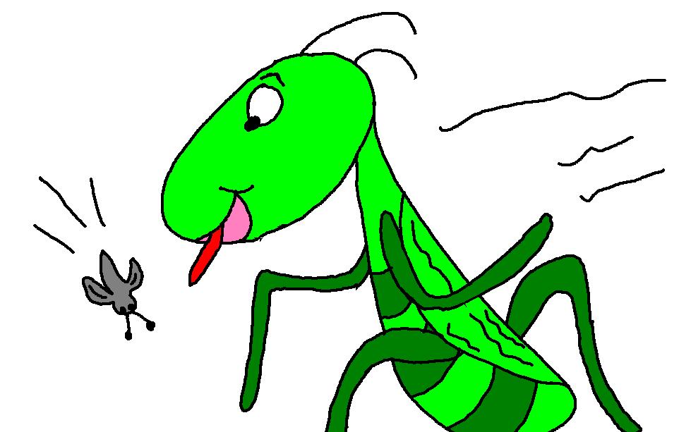 Locust clip art - ClipartFox