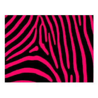 Hot Pink Zebra Postcards | Zazzle