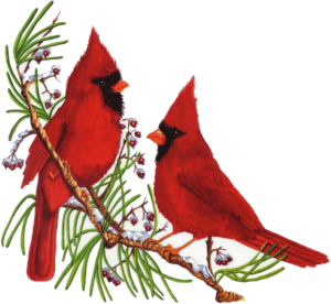 Free clipart cardinal tree