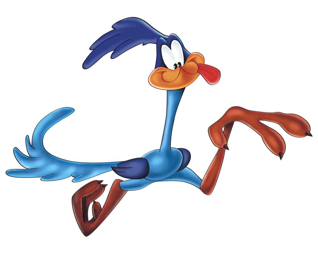 Roadrunner Running Cartoon - ClipArt Best