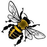 How to 'Bee' an Activist | Emerities