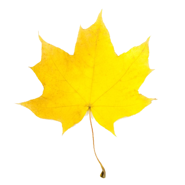 Fall Leaf #2 Clip Art