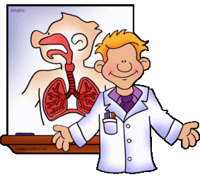 Lorena-Science - Circulatory-