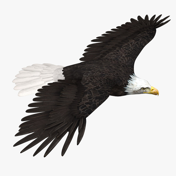 eagle clip art animated - photo #29