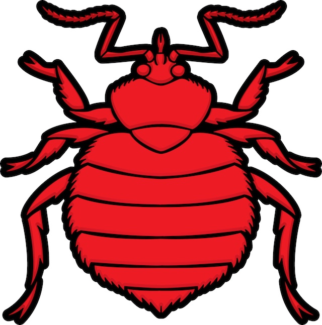 We are trying to build the most comprehensive online database of bed bug pictures. If you have original bed bug photos we would love to buy them from you to add to