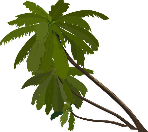 Jungle Trees Clip Art