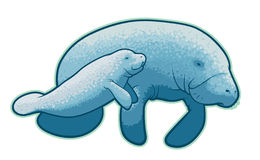 Manatee Clipart - Free Clipart Images
