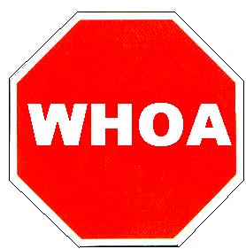 413 views Novelty | The Traffic Sign Store