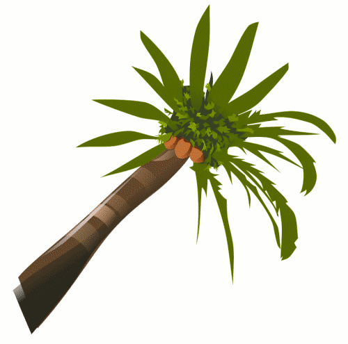 Animated Coconut Tree | Free Download Clip Art | Free Clip Art ...