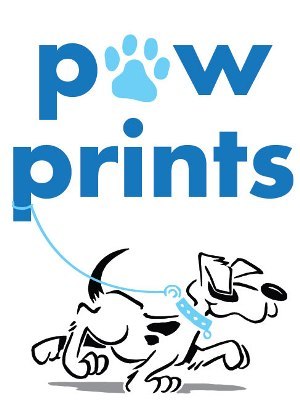 Paw Prints 2011