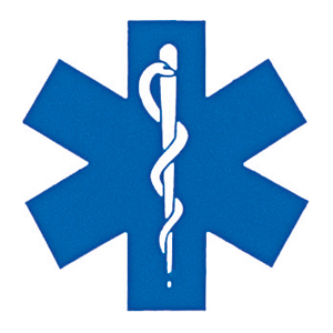 White - Public Safety EMS/EMT Decal w/Star Of Life Emblem - Army ...