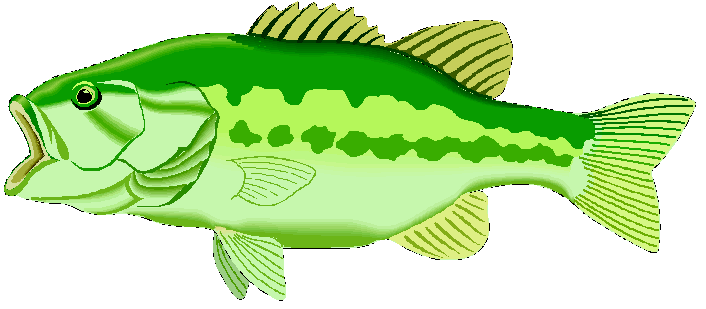 Best Bass Fish Outline #18241 - Clipartion.com