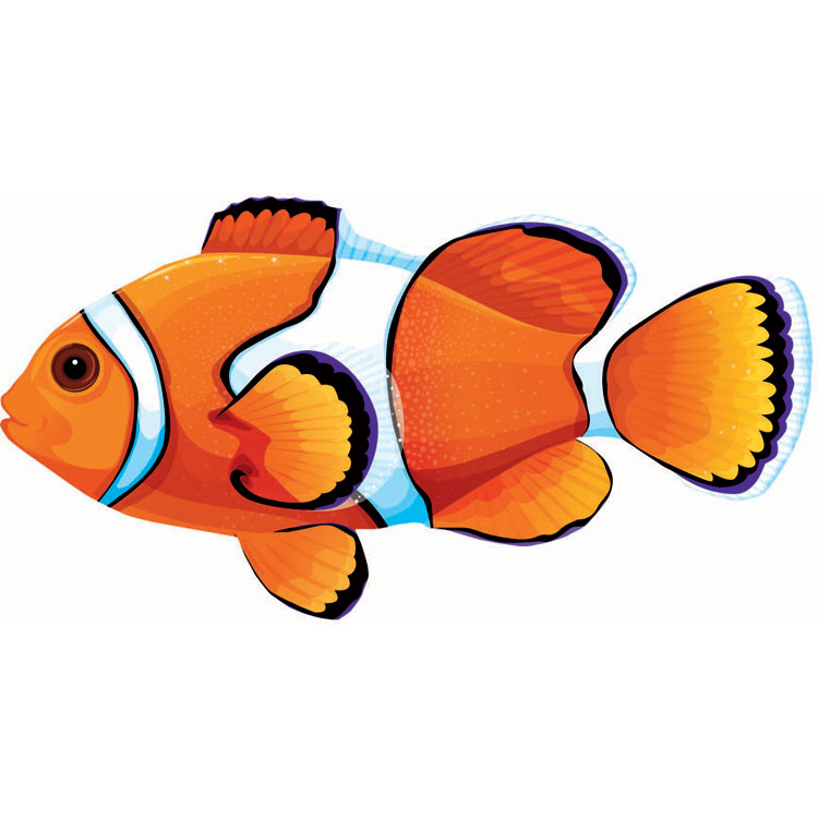 Clown Fish Clipart - Tumundografico