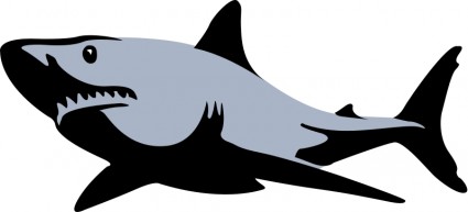 Basking Shark (eats Plankton) Clip Art Download