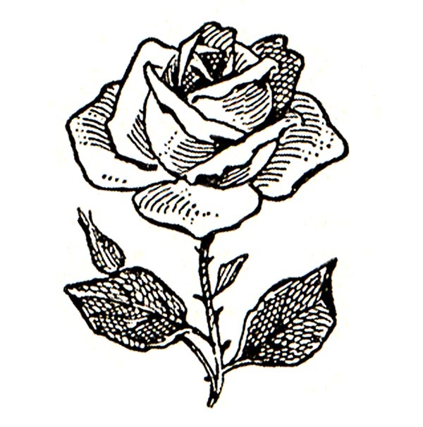 Roses Clipart Black And White - Tumundografico