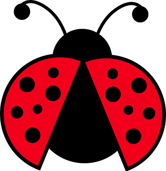 pink ladybug clip art free - photo #40