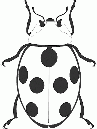 Ladybug Black And White Clipart