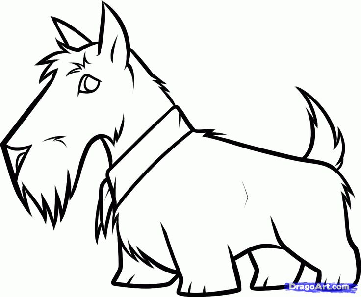 1000+ images about Scottie Dogs: Clip Art. Graphics, Line Drawings ...