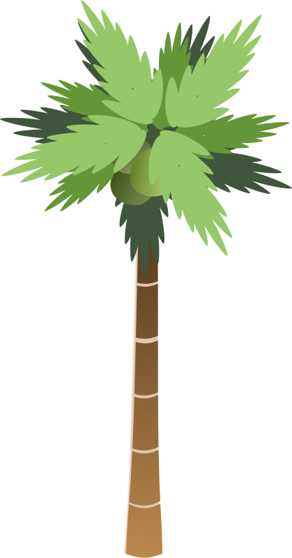 Clipart - Palm Tree