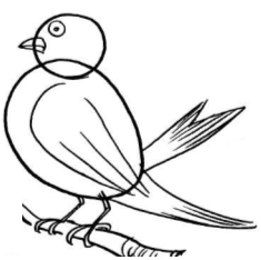Cartoon bird drawing Tutorial