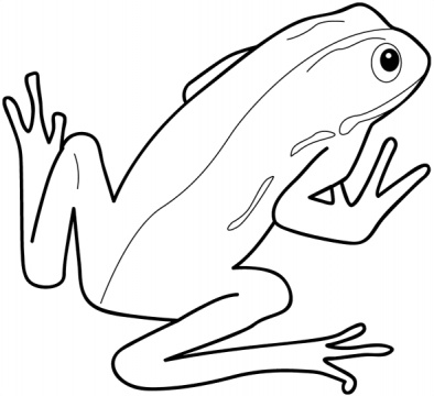cute frog Colouring Pages (page 3)