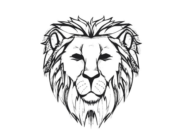 Line Drawing Lion Face : Lion face line drawing gallery