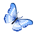 butterfly4.gif
