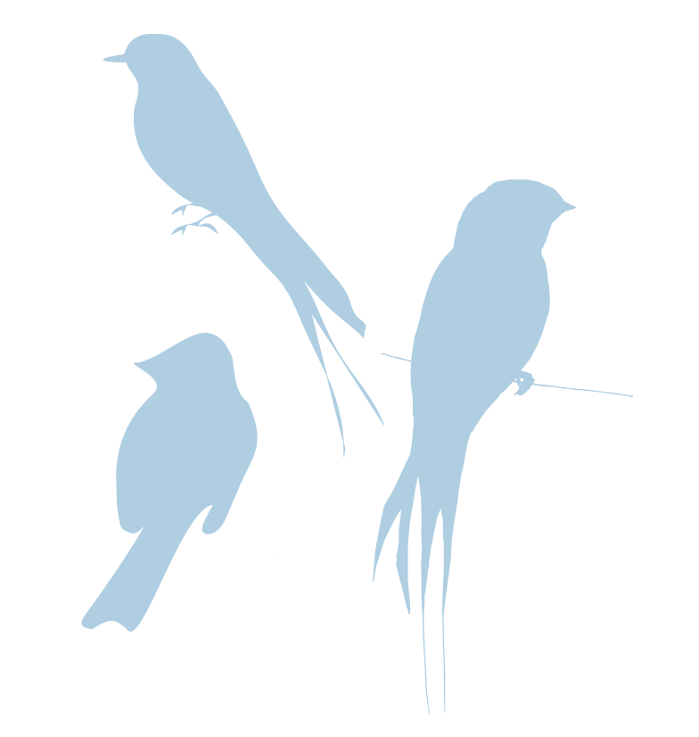 eri doodle designs and creations: blue silhouette birds