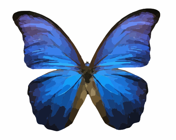 Butterfly clip art - vector clip art online, royalty free & public ...