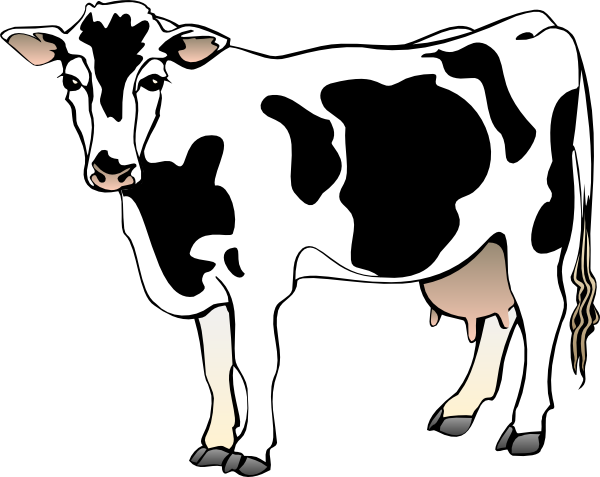 Cow 11 clip art - vector clip art online, royalty free & public domain