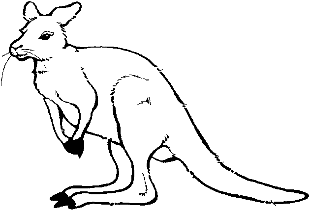 kangaroo clipart black and white - photo #33
