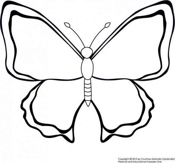 label butterfly coloring pages - photo #8