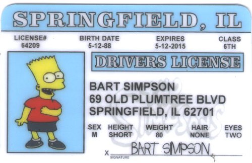 Homer Simpson Driver License ID