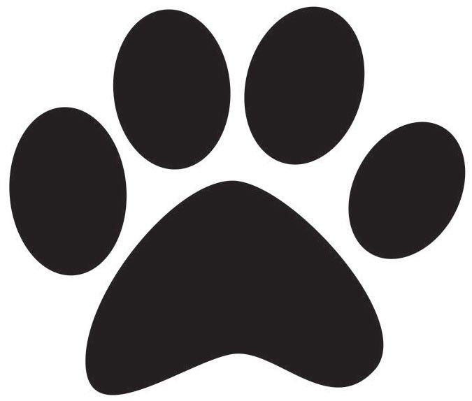 1000+ images about Dog | Dog paw prints, For dogs and ...