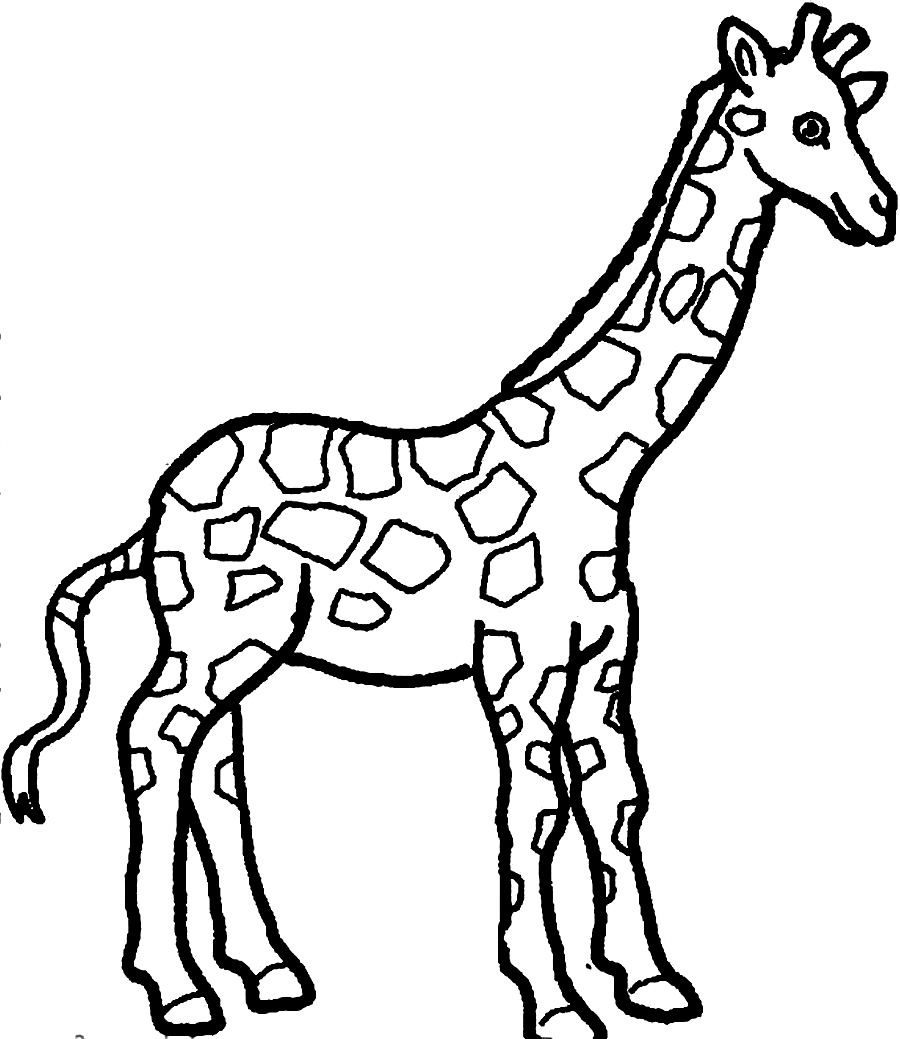 giraffe drawings Colouring Pages (page 2)