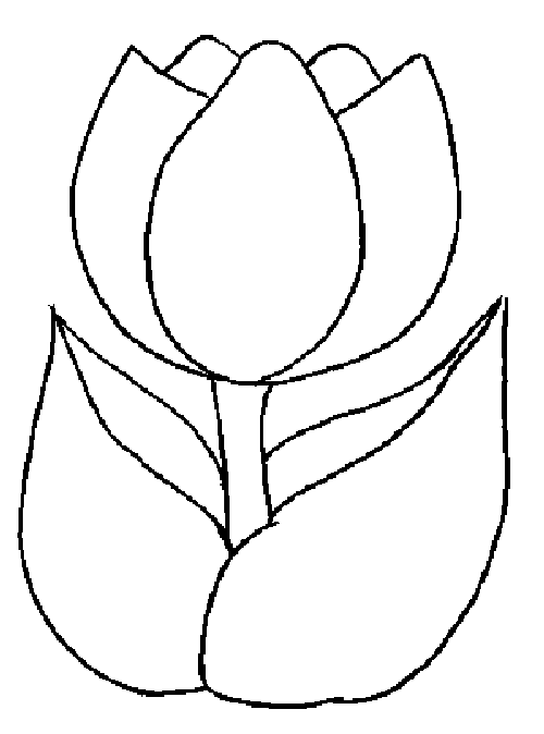 Clipart Tulip Outline - Free Clipart Images