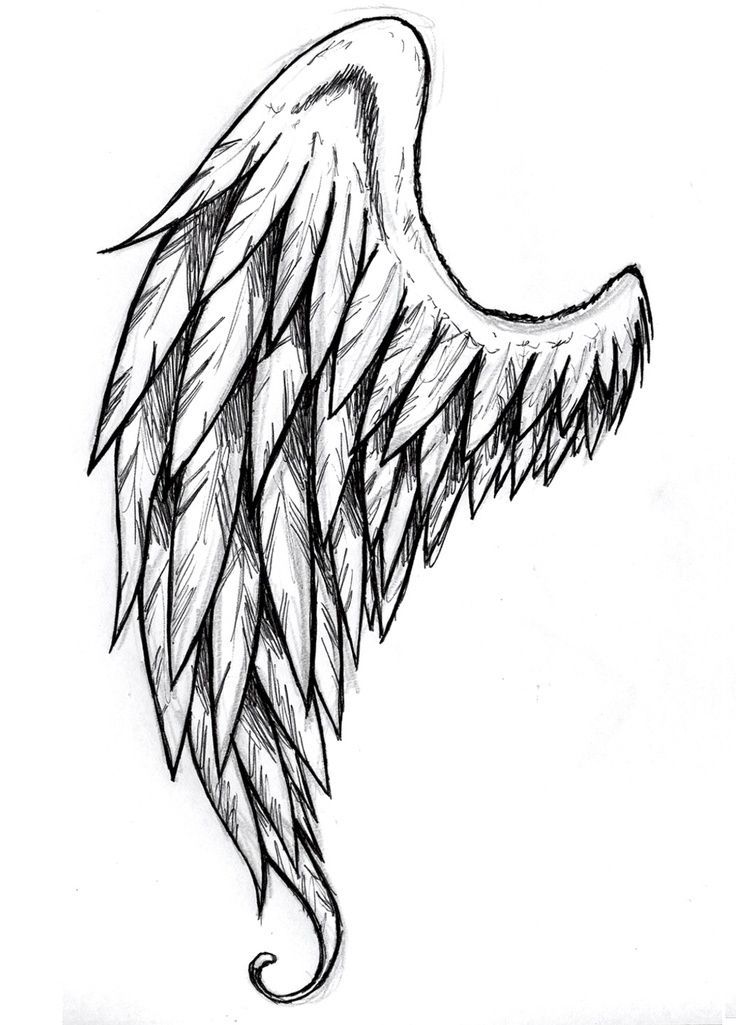 Wings Drawing | Art Reference ...