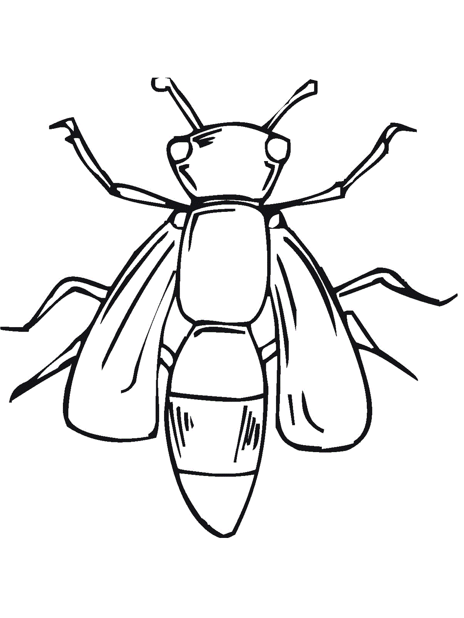 very lonely firefly Colouring Pages (page 2) - ClipArt Best - ClipArt Best