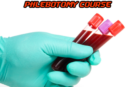 Phlebotomy Pictures - ClipArt Best