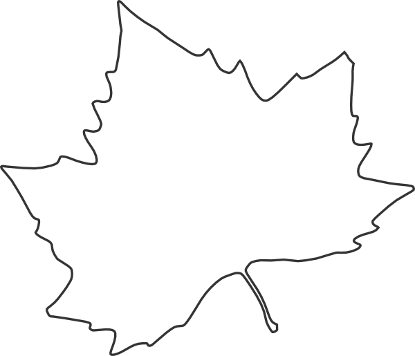 clip art oak leaf outline - photo #4