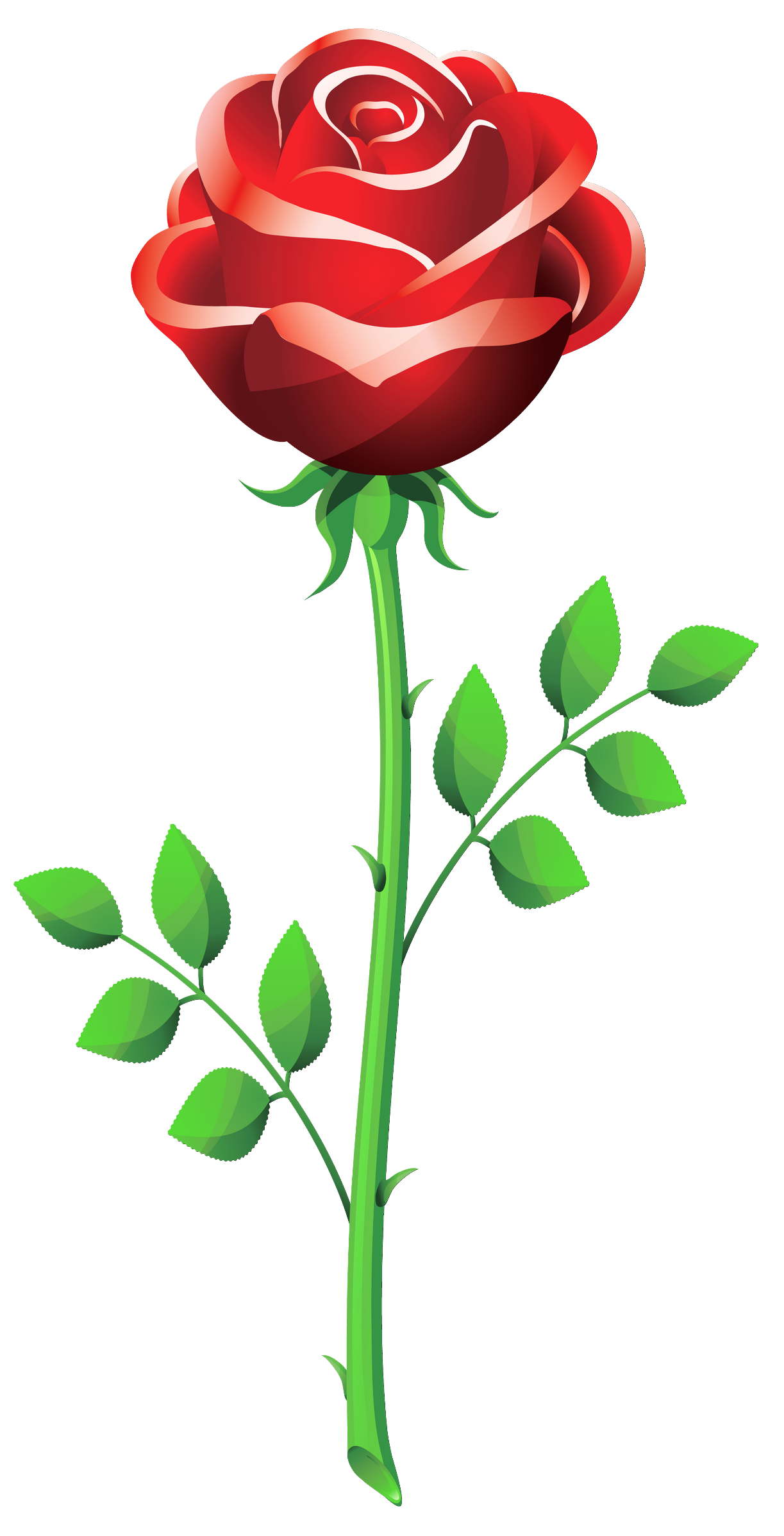 Valentine roses clip art