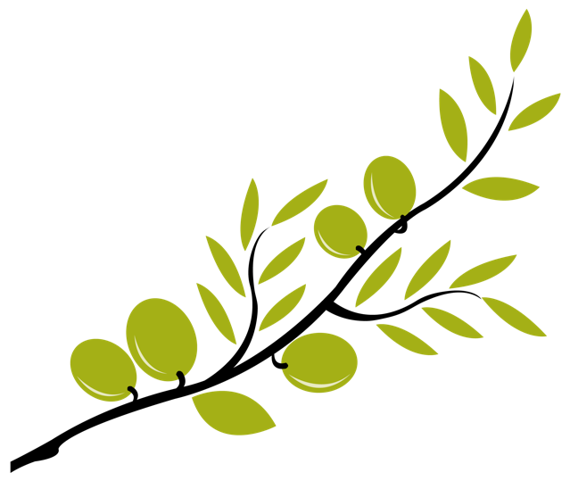Olive tree branch clipart