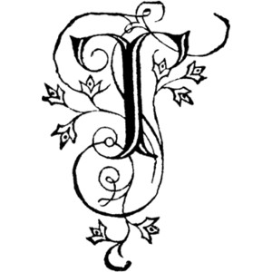 549 views Decorative Letter T Clipart - Polyvore