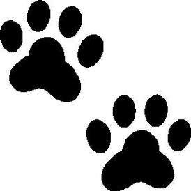 Dog Paw Print Template Clipart - Free to use Clip Art Resource